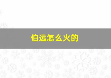 伯远怎么火的