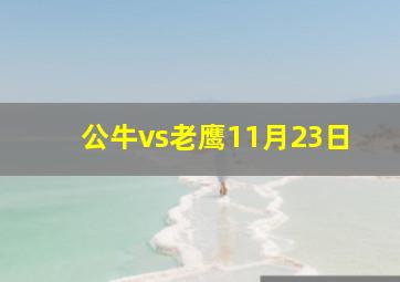 公牛vs老鹰11月23日