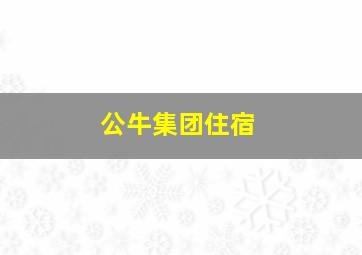 公牛集团住宿