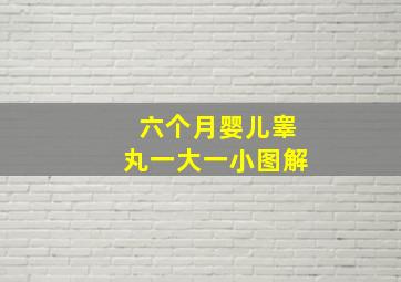 六个月婴儿睾丸一大一小图解