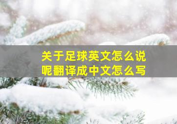 关于足球英文怎么说呢翻译成中文怎么写