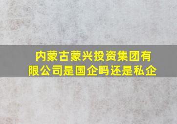 内蒙古蒙兴投资集团有限公司是国企吗还是私企