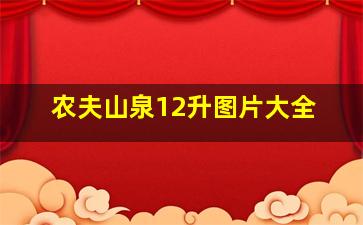 农夫山泉12升图片大全