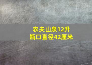 农夫山泉12升瓶口直径42厘米