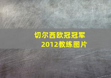 切尔西欧冠冠军2012教练图片