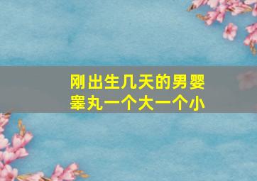 刚出生几天的男婴睾丸一个大一个小