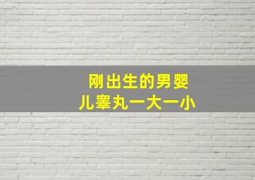 刚出生的男婴儿睾丸一大一小