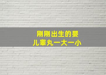 刚刚出生的婴儿睾丸一大一小