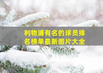 利物浦有名的球员排名榜单最新图片大全