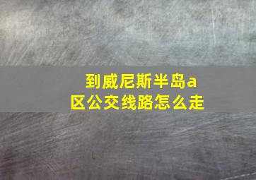 到威尼斯半岛a区公交线路怎么走