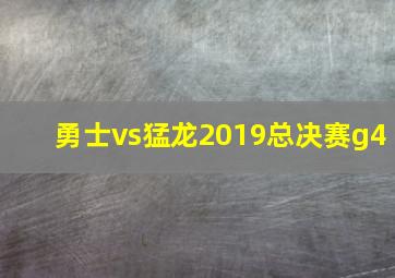 勇士vs猛龙2019总决赛g4