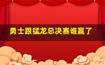 勇士跟猛龙总决赛谁赢了