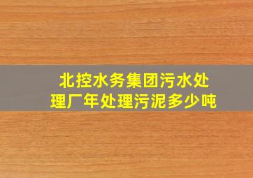 北控水务集团污水处理厂年处理污泥多少吨