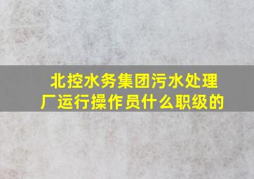 北控水务集团污水处理厂运行操作员什么职级的