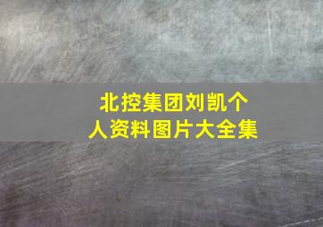 北控集团刘凯个人资料图片大全集