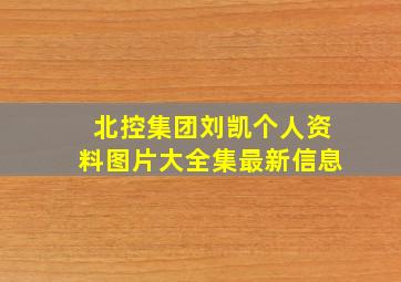 北控集团刘凯个人资料图片大全集最新信息