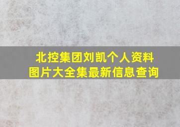 北控集团刘凯个人资料图片大全集最新信息查询