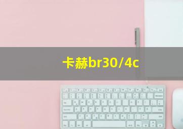 卡赫br30/4c