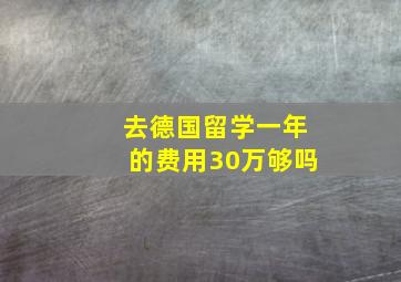 去德国留学一年的费用30万够吗