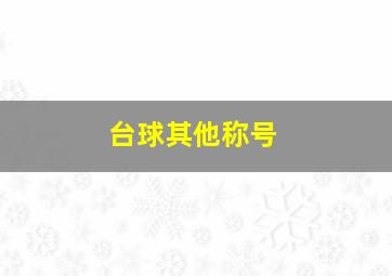 台球其他称号