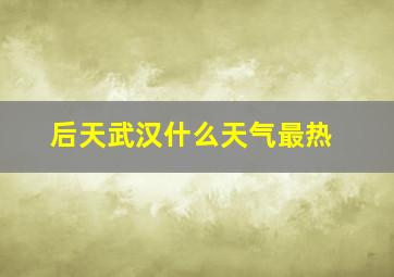 后天武汉什么天气最热