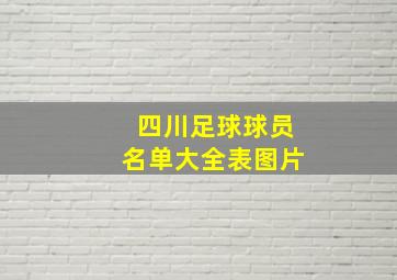 四川足球球员名单大全表图片