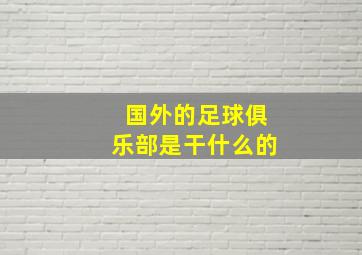 国外的足球俱乐部是干什么的