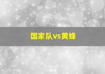 国家队vs黄蜂