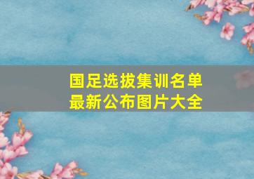 国足选拔集训名单最新公布图片大全