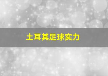 土耳其足球实力