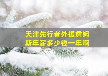 天津先行者外援詹姆斯年薪多少钱一年啊