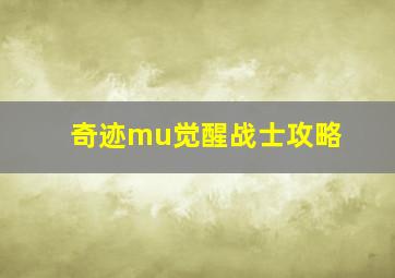 奇迹mu觉醒战士攻略