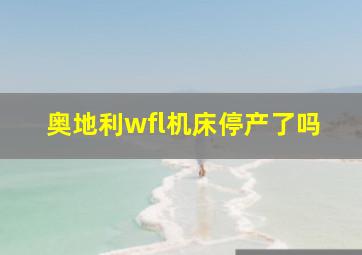 奥地利wfl机床停产了吗