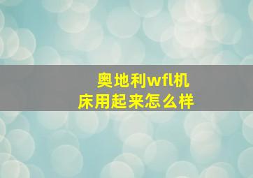 奥地利wfl机床用起来怎么样