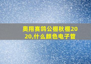 奥翔赛鸽公棚秋棚2020,什么颜色电子管