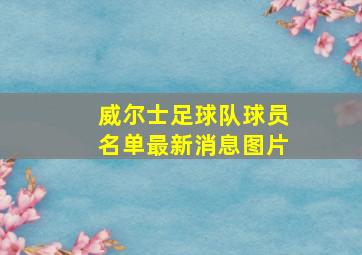 威尔士足球队球员名单最新消息图片