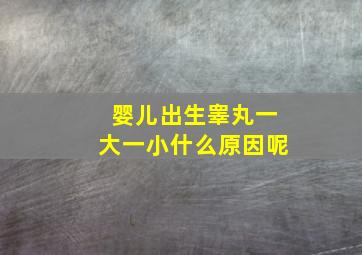 婴儿出生睾丸一大一小什么原因呢