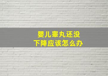 婴儿睾丸还没下降应该怎么办