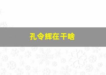 孔令辉在干啥