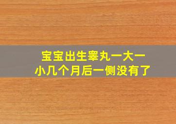 宝宝出生睾丸一大一小几个月后一侧没有了