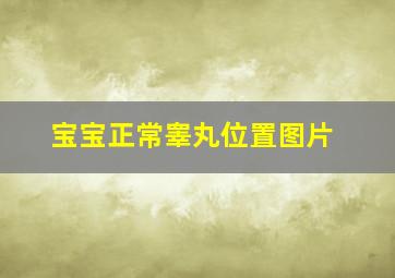 宝宝正常睾丸位置图片