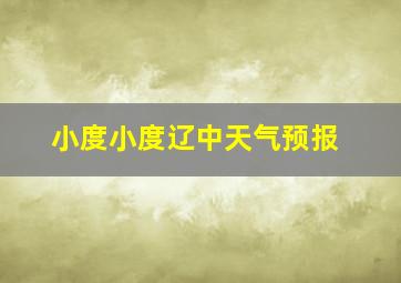 小度小度辽中天气预报