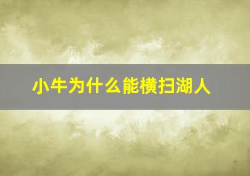 小牛为什么能横扫湖人