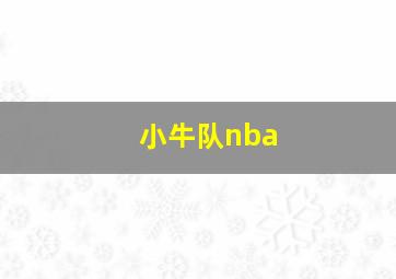 小牛队nba