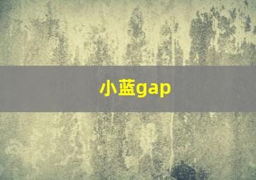 小蓝gap