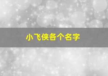 小飞侠各个名字