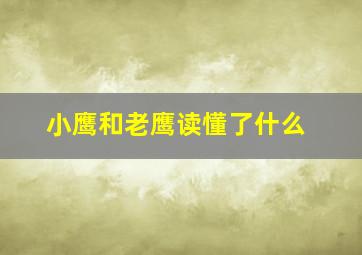 小鹰和老鹰读懂了什么