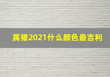 属猪2021什么颜色最吉利