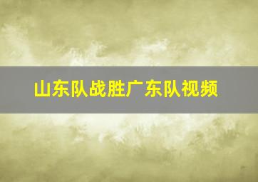 山东队战胜广东队视频