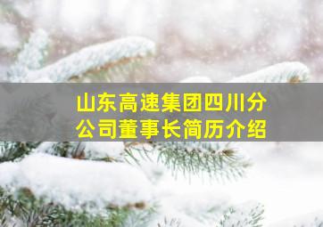 山东高速集团四川分公司董事长简历介绍